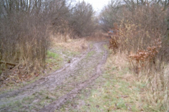 MEDION DIGITAL CAMERA