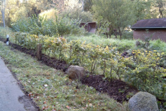 MEDION DIGITAL CAMERA