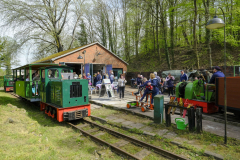 Foto-BuchhorsterWaldbahn-19
