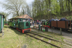Foto-BuchhorsterWaldbahn-21