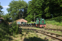 Foto-BuchhorsterWaldbahn-5